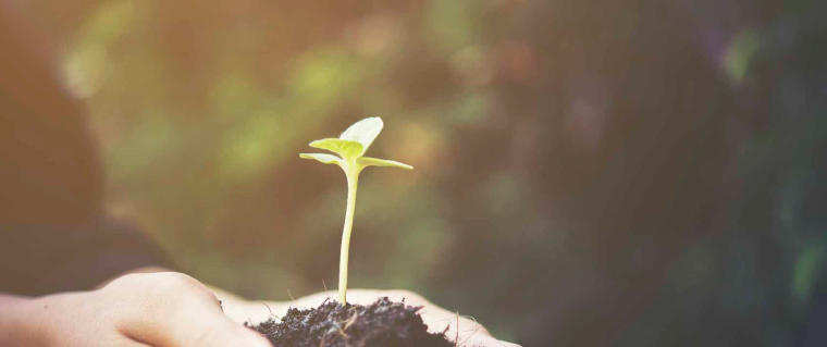 Projeto Recicle Mais, Pague Menos